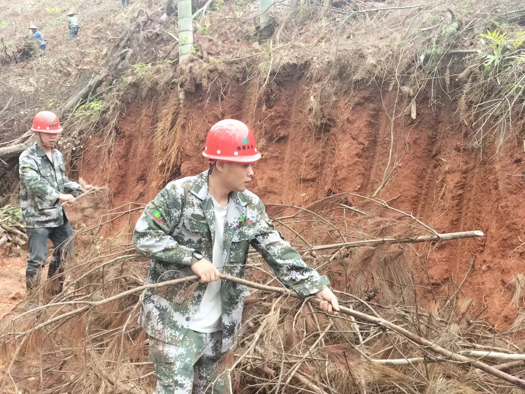  “百日鏖战” 齐心协力谱写产销新篇 ----福建pp电子网站木材产销百日攻坚行动